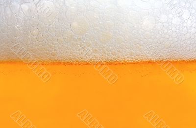 Beer foam background texture