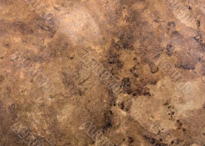 Brown marble wall texture