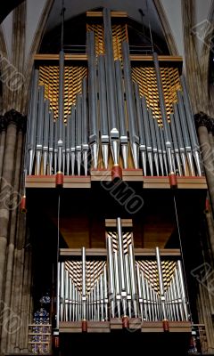 organ