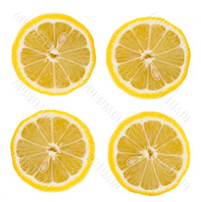 citric cross section with seed 