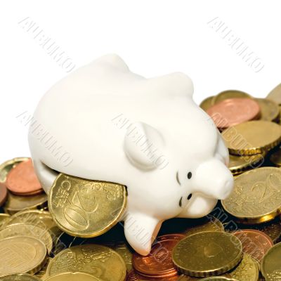 coins piggy bank 