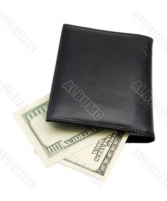 leather wallet of money dollar