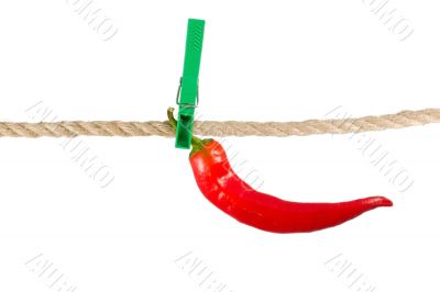 red pepper chile on clothes-peg rope