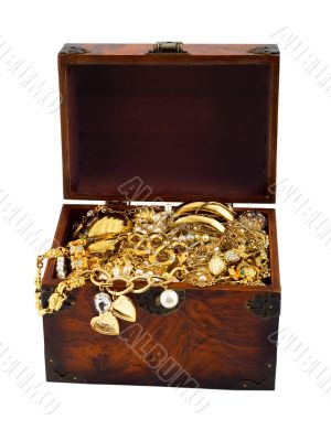 Treasure chest snake
