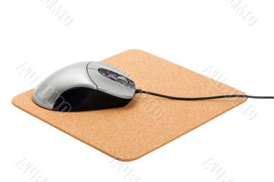 computer mouse on pad