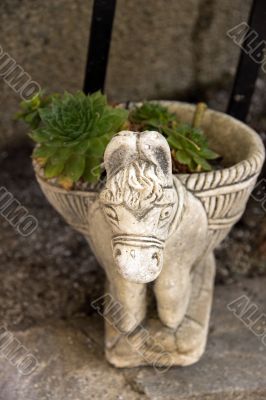 Cactus in flowerpot