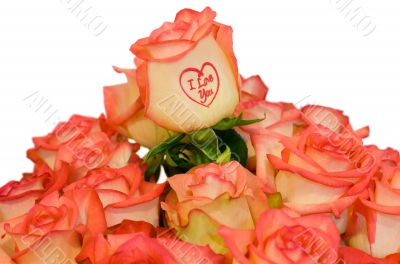 Roses `I Love you`