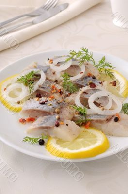 Slices of salted herring with onion, lemon and spices