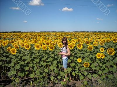 Sunflower and a girl.