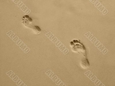 Footprints on the Beach