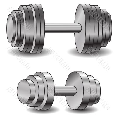 two dumbells