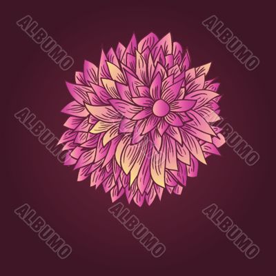 Peony flower