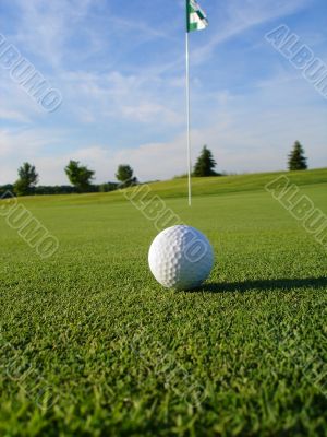 Golf Ball on Green