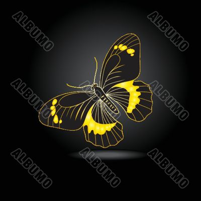 Beautiful fairy gold butterfly with shadow Beautiful fairy gold butterfly with shadow