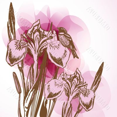Decorative background with Tulips flowers