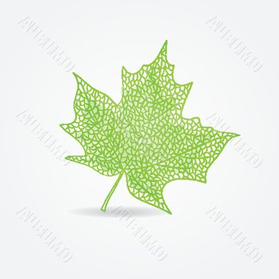 Green maple leaf illustration