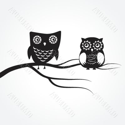 Two cute owls on the tree branch