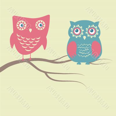 Two cute owls on the tree branch