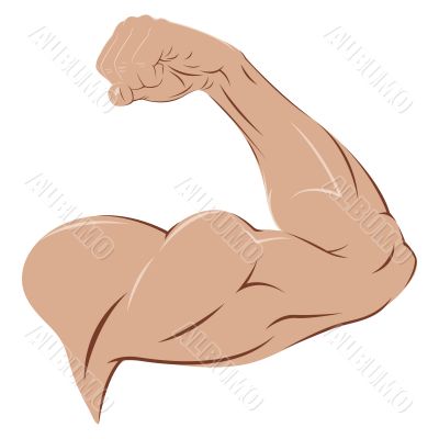 Man`s Arm