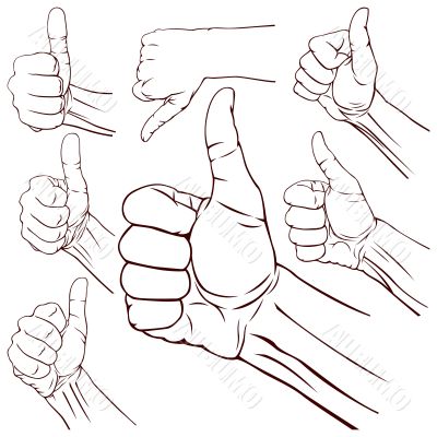 Set of seven hands