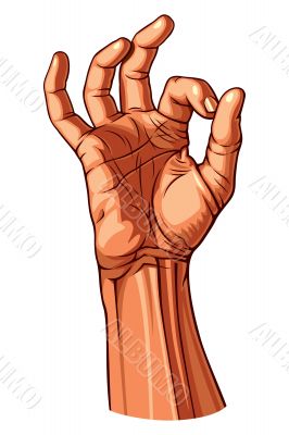 OK Hand Gesture