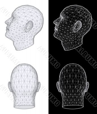 Human head. Vector Illustration