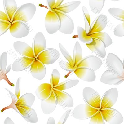 Tropical flowers seamless pattern