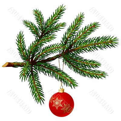 Pine tree branch with Christmas ball