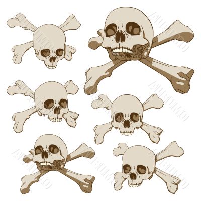 Five skulls set