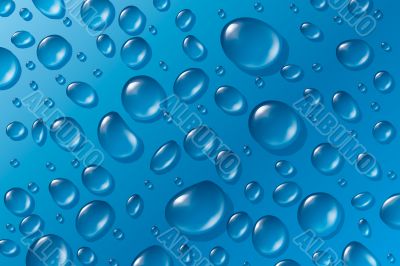 Water Drops