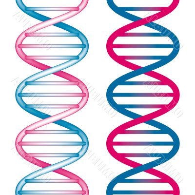 Seamless DNA Symbol Seamless DNA Symbol