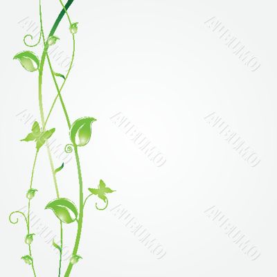Vintage vector frame on floral background