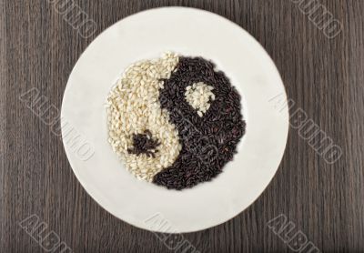 Yin and Yang Yin and Yang