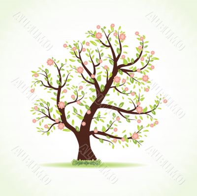 Illustration of beautiful spring background