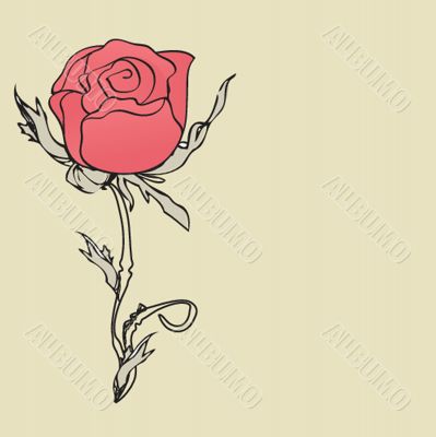 Retro card with vintage rose