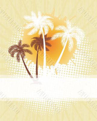 Summer background with grunge beach palms