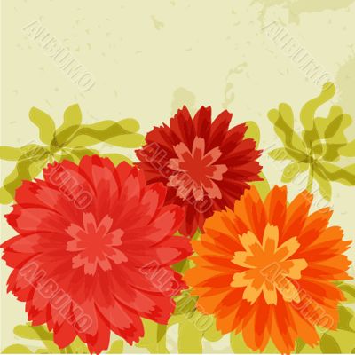 Red and orange chrysanthemums on grunge background