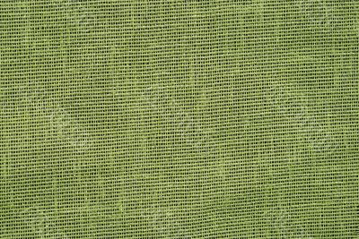 Green canvas texture