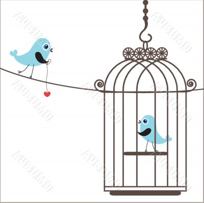 Cute  love birds in birdcage