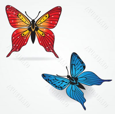 Various vector butterflies on  background