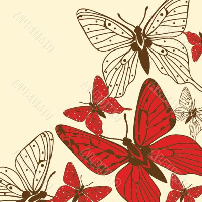 Various vector butterflies on  background