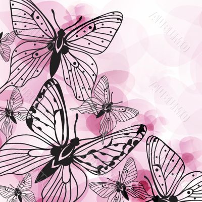 Various vector butterflies on  background