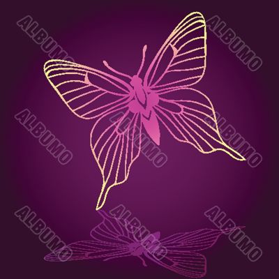 Various vector butterflies on  background