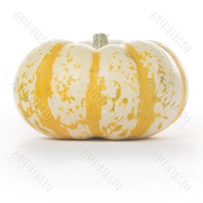 Fairytale Pumpkin