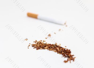 Tobacco Spilled Tobacco Spilled