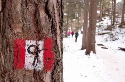 Hiking trail sign post on a tree Hiking trail sign post on a tree