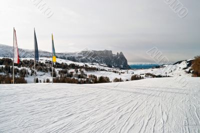 Skii path