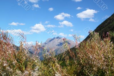 Summer, mountain landscape