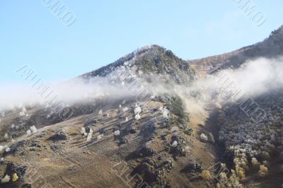 Mountain with the fog and frost on trees, landscape