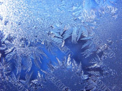 Ice background Ice background